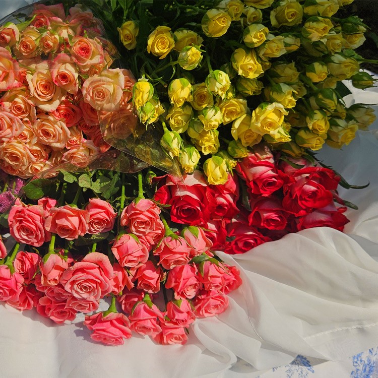 상품 미리보기 이미지