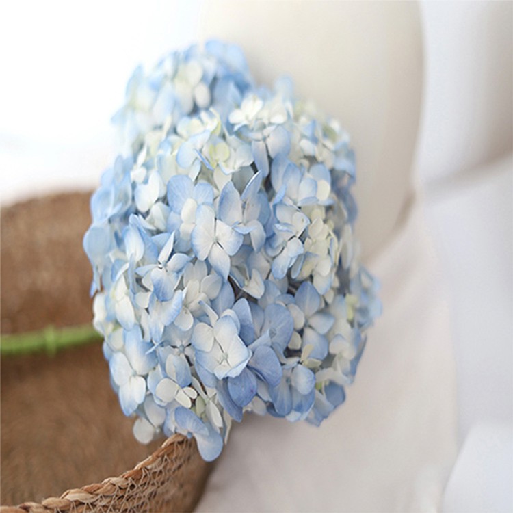 상품 미리보기 이미지