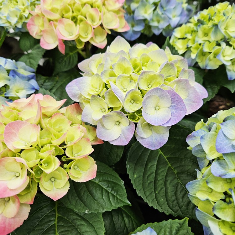 상품 미리보기 이미지