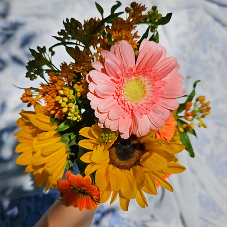 상품 미리보기 이미지