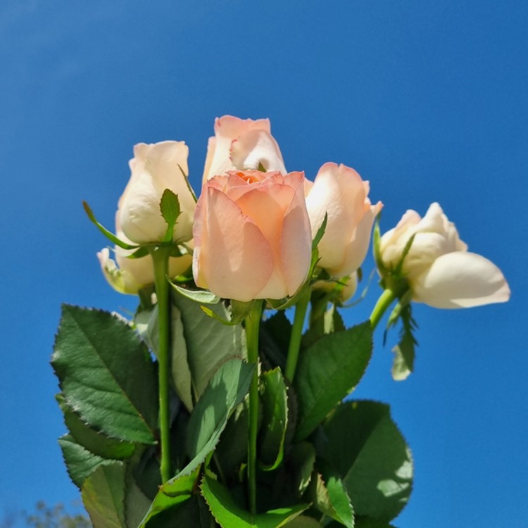 상품 미리보기 이미지