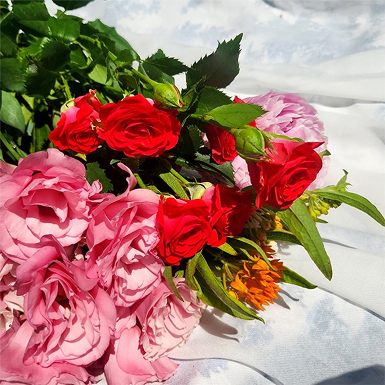 상품 미리보기 이미지