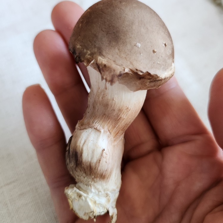 상품 미리보기 이미지