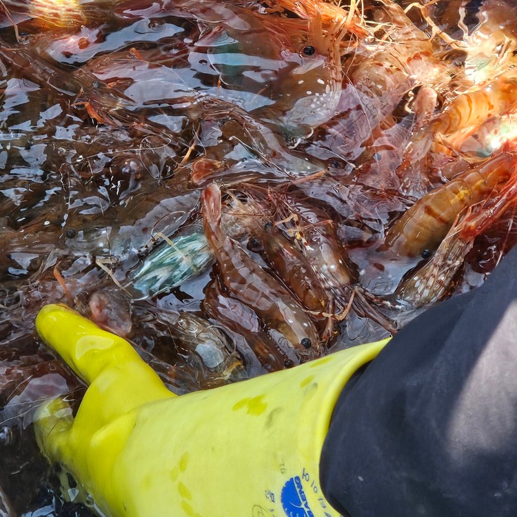 상품 미리보기 이미지