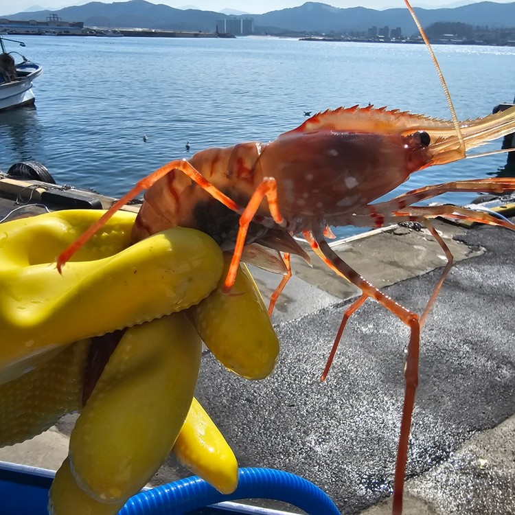 상품 미리보기 이미지