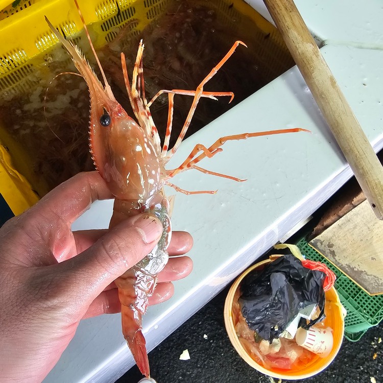 상품 미리보기 이미지