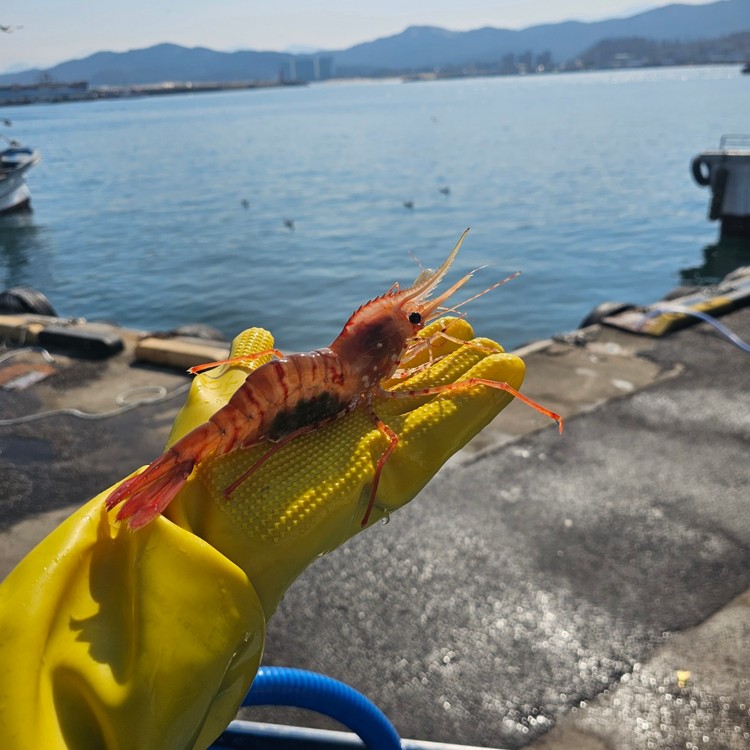 상품 미리보기 이미지