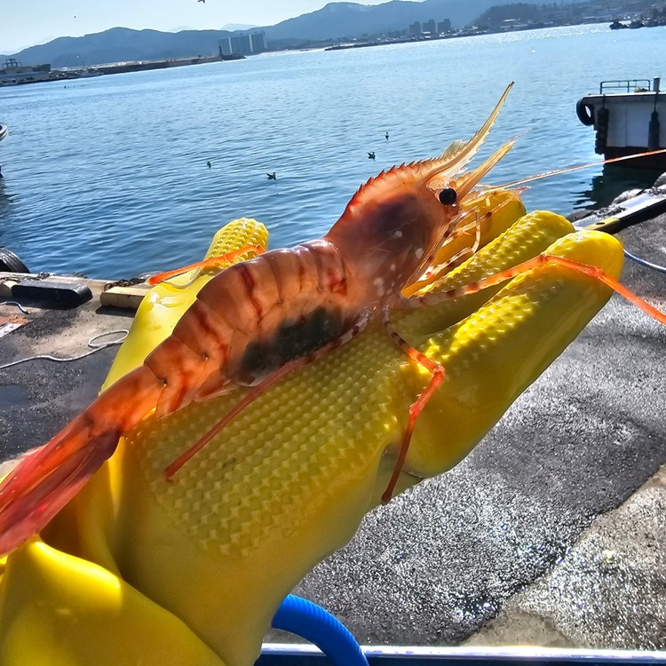 상품 미리보기 이미지