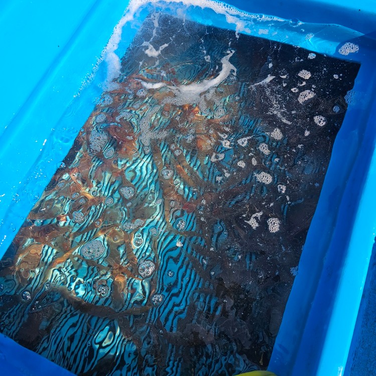 상품 미리보기 이미지