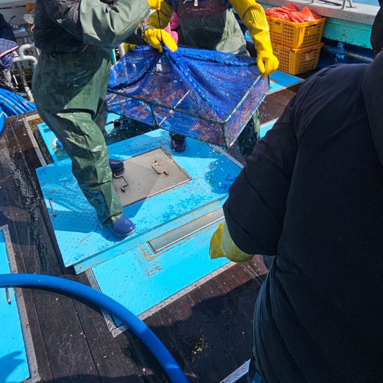 상품 미리보기 이미지