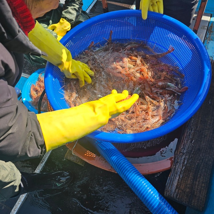 상품 미리보기 이미지