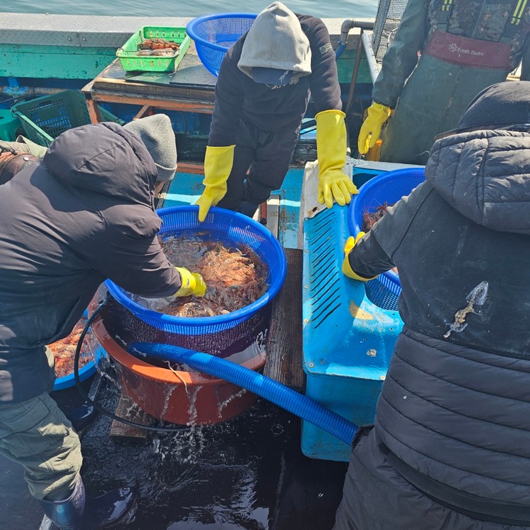 상품 미리보기 이미지