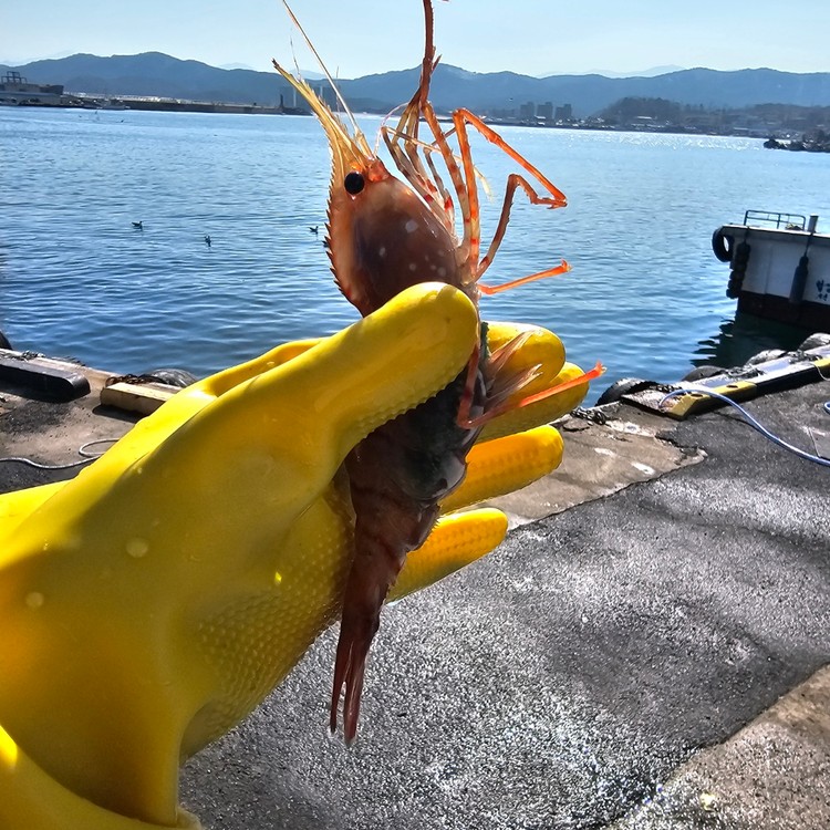 상품 미리보기 이미지